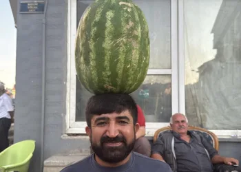 Kafasında 40 kiloluk karpuz varken bisiklet sürüyor, halay çekiyor, koşuya katılıyor