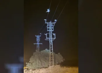 Dönüş yolundaki leylekler bazı bölgeleri elektriksiz bıraktı
