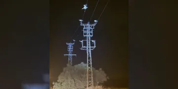 Dönüş yolundaki leylekler bazı bölgeleri elektriksiz bıraktı