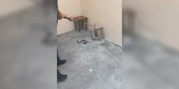 Kars’ta evin bahçesine giren yılan itfaiyeyi harekete geçirdi
