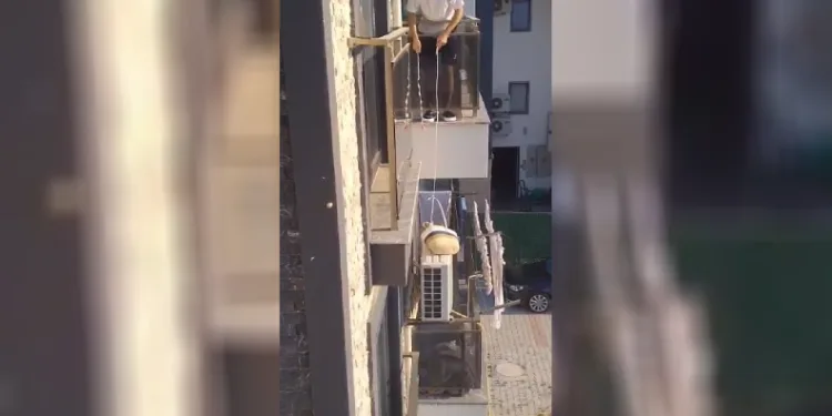 Klimada mahsur kalan kedisini kabloyla bağladığı plaj çantasıyla kurtardı