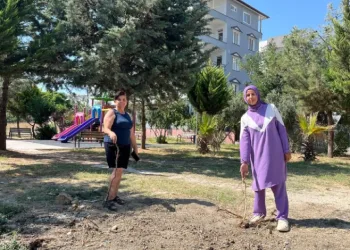 Parktaki ağaçların sökülmesine vatandaşlardan tepki