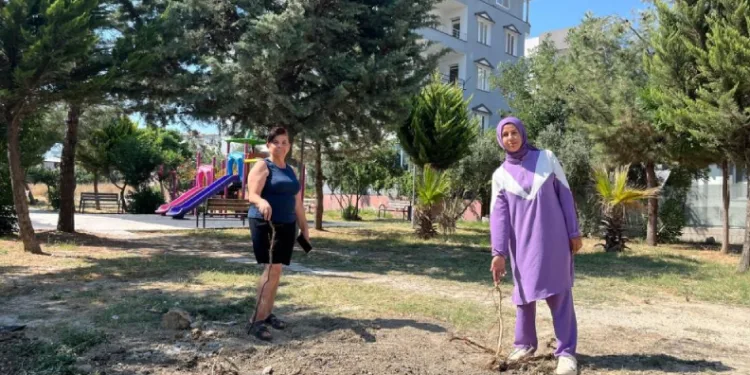 Parktaki ağaçların sökülmesine vatandaşlardan tepki