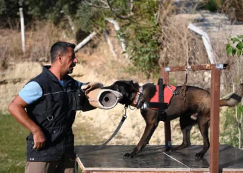 Yetiştirdiği kurtarma köpekleriyle doğal afetlerde birçok hayat kurtardı