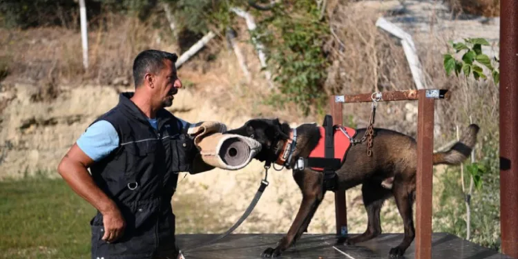 Yetiştirdiği kurtarma köpekleriyle doğal afetlerde birçok hayat kurtardı
