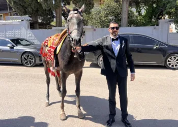 Atla gelin almaya giden damadın planını trafik bozdu