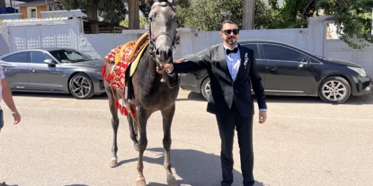 Atla gelin almaya giden damadın planını trafik bozdu