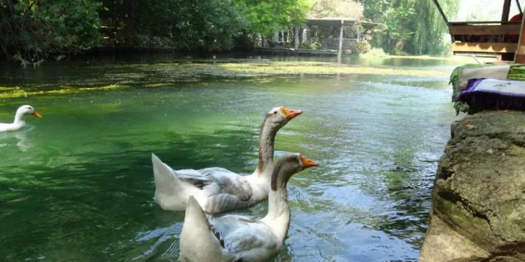 Akyaka’yı aratmayan Bucak Vadisi doğaseverlerin gözdesi