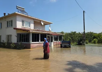 Çarşamba’yı sel aldı: Tarım alanları ve evler sular altında kaldı