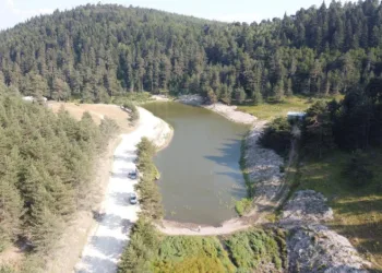 Bolu’da orman yangınlarına müdahalede kritik rol oynayan Sarpıncık Göleti’nde temizlik yapıldı