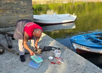Kastamonu’da yasa dışı palamut avcılığına geçit yok: 4 kişiye para cezası uygulandı