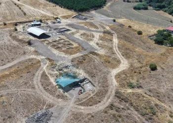 Tarlada fidan dikerken bulunan mozaiğin ardından dev yerleşim gün yüzüne çıktı