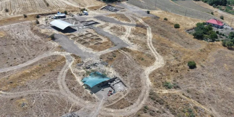 Tarlada fidan dikerken bulunan mozaiğin ardından dev yerleşim gün yüzüne çıktı