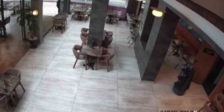 Garson robot merdivenlerden düştü, restoran 3 gün izne yolladı