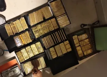 Alihan Kuriş soruşturmasında yeni gelişme! 5 şirkete el konuldu