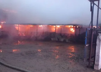 Mustafakemalpaşa’da çiftlik yangını