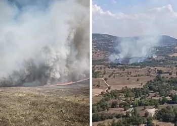 Bursa’da orman yangını…Tarım alanında başladı ormana sıçradı