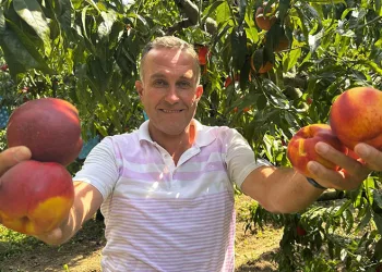 İDO deniz otobüsü Mudanya İskelesi’ne çarptı!