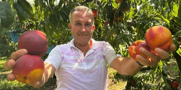 İDO deniz otobüsü Mudanya İskelesi’ne çarptı!