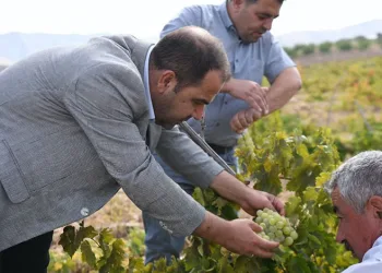 Iğdır’da kedinin fareyle 20 dakikalık oyunu kamerada