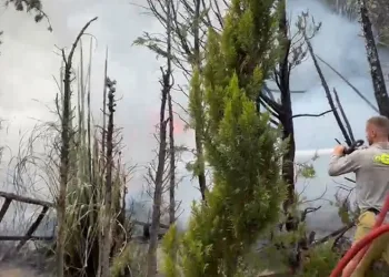 Bursa’da düğün platosunda yangın