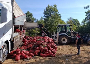 Bursa’da 8 ton midye ele geçirildi