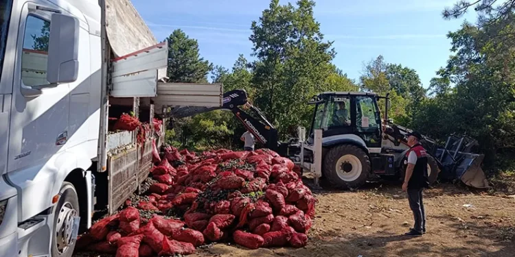 Bursa’da 8 ton midye ele geçirildi