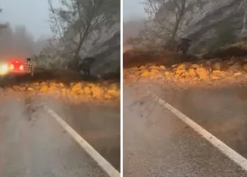Bursa’da kontrolden çıkan otomobil park halindeki araca çarparak ters döndü