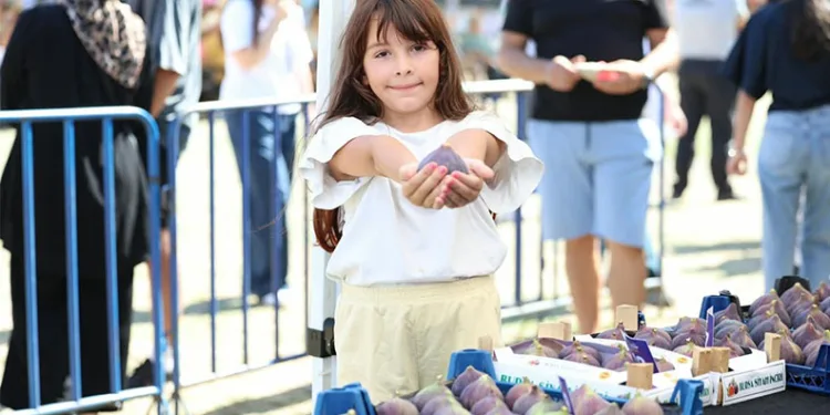 Osmangazi’nin siyah inciri festivalde görücüye çıktı
