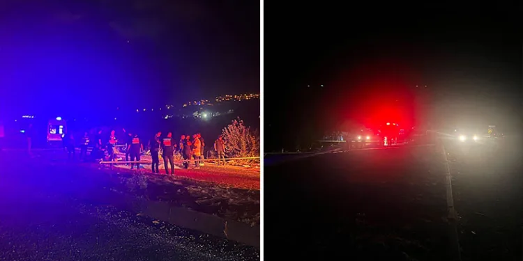Bursa’da 8 ton midye ele geçirildi
