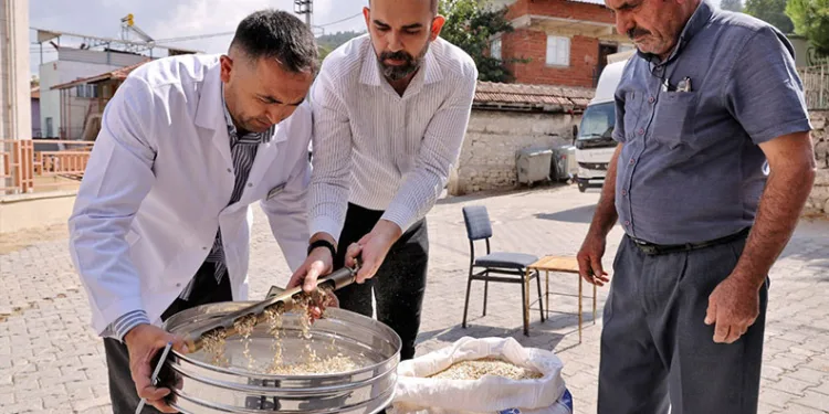Mezarlıkta baltalı kavga: 1 yaralı
