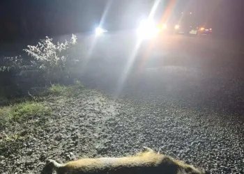 Madde bağımlılarının sokakta sopalarla kovalandığı mahallede huzur ve güven ortamına doğru