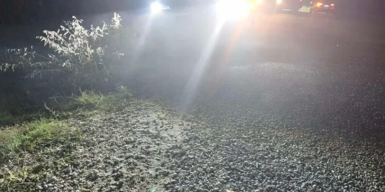 Madde bağımlılarının sokakta sopalarla kovalandığı mahallede huzur ve güven ortamına doğru