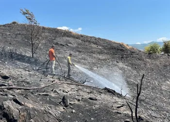 Madde bağımlılarının sokakta sopalarla kovalandığı mahallede huzur ve güven ortamına doğru