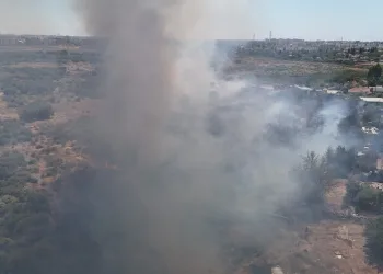 Kapısına pompalı tüfekle dayandı, sokakta terör estirdi