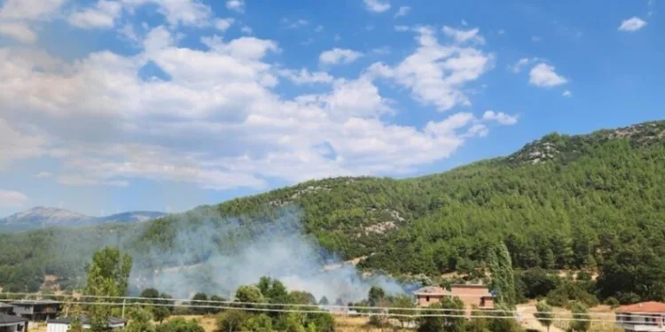 Kapısına pompalı tüfekle dayandı, sokakta terör estirdi