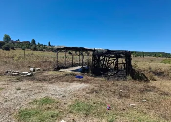 Kapısına pompalı tüfekle dayandı, sokakta terör estirdi