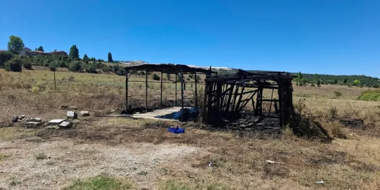 Kapısına pompalı tüfekle dayandı, sokakta terör estirdi