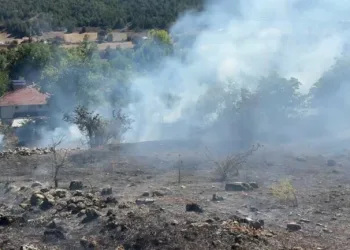 Kaza sonrası aracı bırakıp kaçtılar