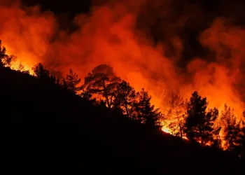 Niğde’de uyuşturucu operasyonu: 3 tutuklama