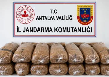 KKTC’de genel seçim ve yerel seçimler 6 Aralık’ta yapılacak