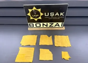 İstanbul merkezli 20 ilde yeni nesil suç örgütlerine operasyon: 178 gözaltı