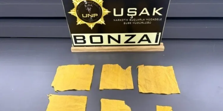 İstanbul merkezli 20 ilde yeni nesil suç örgütlerine operasyon: 178 gözaltı