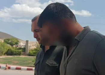 İstanbul merkezli 20 ilde yeni nesil suç örgütlerine operasyon: 178 gözaltı