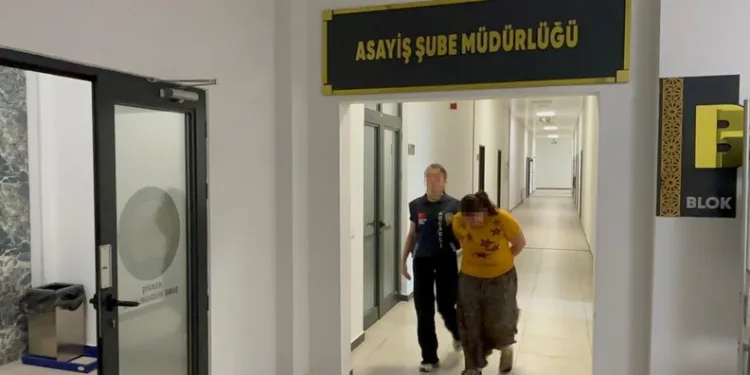 460 milyon liralık para aktarımı olan suç örgütüne dev operasyon