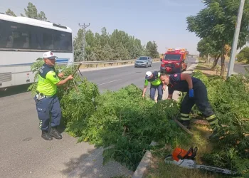 Ankara’da aracın çarptığı yaya hayatını kaybetti