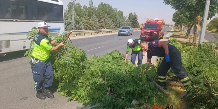 Ankara’da aracın çarptığı yaya hayatını kaybetti