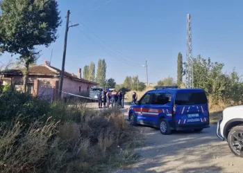 Depo görünümlü alana kenevir eken şüpheli yakalandı