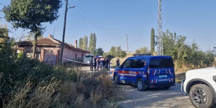Depo görünümlü alana kenevir eken şüpheli yakalandı
