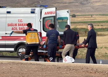 Depo görünümlü alana kenevir eken şüpheli yakalandı